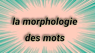 la morphologie des mots [upl. by Nepsa]