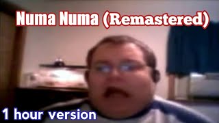 Numa Numa Remastered 1 hour version [upl. by Ylle316]