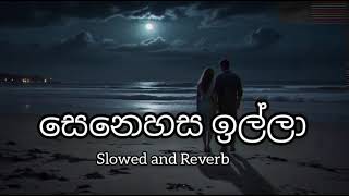 Senehasa Illa  Malani Bullathsinhala Songs  Slowed and Reverb Song [upl. by Wulfe739]