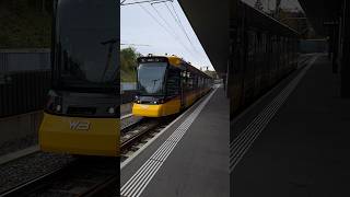 Waldenburgerbahn mit Tramlink 107 Be68 waldenburgeli wb blt trainspotting tram shorts yt [upl. by Adidnac734]