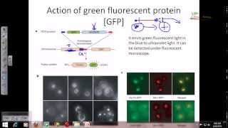 Plant biotechnology 3 [upl. by Ekusoyr]