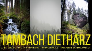 TAMBACH DIETHARZ  33 km im Naturpark Thüringer Wald Schmalwasser Röllchen Steinernes Tor Rennsteig [upl. by Marlo]