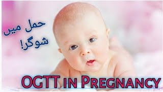 Oral Glucose Tolerance Test OGTT in pregnancy Geststional Diabetes GDM Sugar in pregnancy GTT [upl. by Blackmun274]