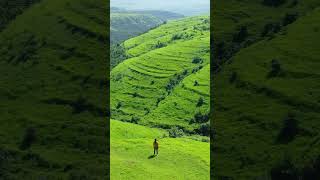 Gudhe Panchgani Pathar gudhe mountainview panchgani travel [upl. by Enelyak]