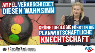 Grüne Ideologie führt in die planwirtschaftliche Knechtschaft [upl. by Eceined]