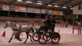 Desiree van Lambalgen winnaar Bathmen te Paard 2017 met Jeffrey 1e prijs [upl. by Olyhs]