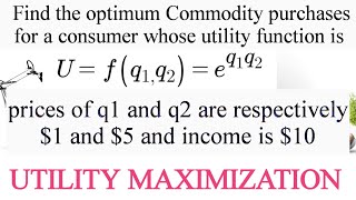 utility maximization using lagrange method constrained optimisation [upl. by Angrist]