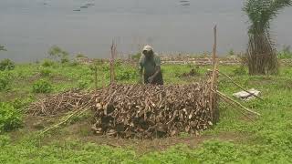 charbonnier de la Coopérative agricoletechnique traditionnelle de la pyrotechnique moins polluant [upl. by Ronni]