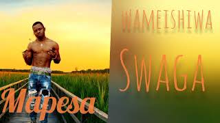 mapesa tz wameishiwa shwaga official mp4 [upl. by Jillie]