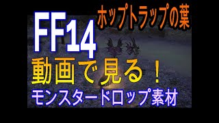 FFX14【漆黒のヴィランズ】素材ドロップモンスターレイクランド【ホップトラップの葉】ホップトラップ [upl. by Collette]