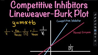 Competitive Inhibitors LineweaverBurk Plot Part 3  Biochemistry [upl. by Ettelocin124]