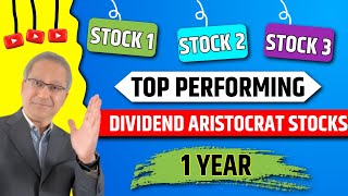 📊 Top Performing Dividend Aristocrat Stocks  David Das [upl. by Drarig]