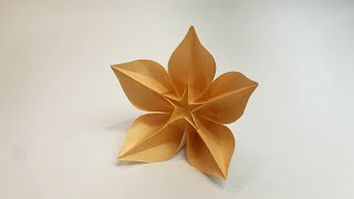 How to make an origami carambola Carmen Sprung [upl. by Sloatman53]