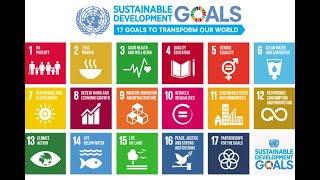 17 SUSTAINABLE DEVELOPMENT GOALS OF UN [upl. by Witt]