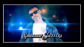 HEESTII SHIDADII JACEYLKA 2017 ABDIKADIR SHIKSHIK  OFFICIAL MUSIC VIDEO [upl. by Novit809]