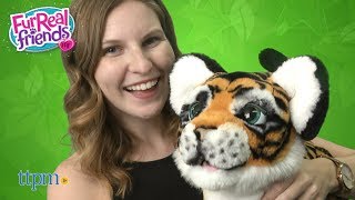 FurReal Roarin Tyler The Playful Tiger from Hasbro [upl. by Cavit]