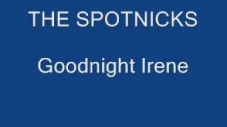 The Spotnicks Goodnight Irene [upl. by Loredana]