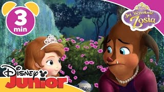 Jej Wysokość Zosia  Księżniczka Charlotte Oglądaj w Disney Junior [upl. by Zohara767]