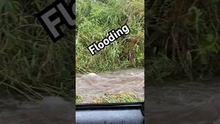 It’s Storming Again 🌧️ storm storms rain rainstorm tropicalstorm flood flooding hawaii [upl. by Comethuauc]