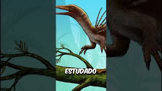 O fóssil de dinossauro roubado do Brasil shorts dinossauro jurassicpark curiosidade [upl. by Ressay245]