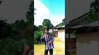 new song video saj sawar ke pachra lagori puche Dada Ghar kahan Lage ☺️🛖 [upl. by Vudimir]