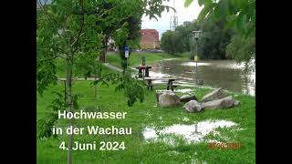 WACHAU HOCHWASSER 2024 4 JUNI IN DER WACHAUNader Michael AJM [upl. by Holtorf137]