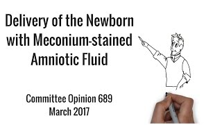 Intrapartum Management of Meconium Stained Fluid DE OBGYN Resident Lecture Series with James Manley [upl. by Zorana]