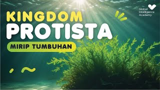 BIOLOGI IPA Kelas 10  Kingdom Protista Protista Mirip Tumbuhan  GIA Academy [upl. by Rimaa]