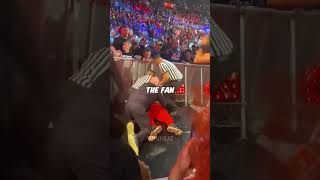 fan attacked Seth Rollins [upl. by Popper990]