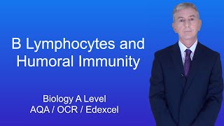 A Level Biology Revision quotB Lymphocytes and Humoral Immunityquot [upl. by Netta]