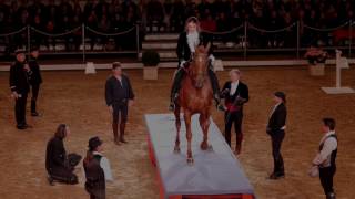 Teaser Nuit du Cheval 2016 [upl. by Lahcear131]