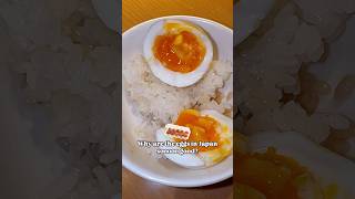 Why are eggs so delicious in Japan Foodie Tour of Japanese Egg Dishes [upl. by Loggins]