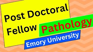 Post Doctoral Fellow Pathology Emory University Atlanta GA [upl. by Kiraa99]