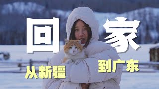 逃离零下20度：小猫，咱们回家吧｜我在新疆捡了只猫 [upl. by Groscr]