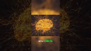 Descubre las Ondas CerebralesAlfa Gamma Beta Zeta y Delta [upl. by Eckardt]