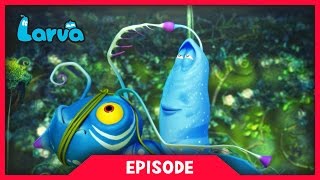 LARVA  LARVATAR  AVATAR LARVA  2017 Cartoon Movie  Cartoons  Comics  라바  LARVA Official [upl. by Gloriane]