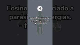 Leucocitos salud curiosidades datoscuriosos tips sistema inmune cuerpo datosmedicos [upl. by Yelnats]