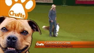 Heelwork to Music  Freestyle International Winner  Crufts 2013 [upl. by Hurlbut]