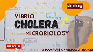 Vibrio Cholera  Pathogenesis  signs amp symptoms  diagnosis amp Treatment  MICROBIOLOGY [upl. by Carree]