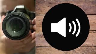 Paparazzi takes photo with camera sound effectsoundeffect bruitage [upl. by Grimaud]