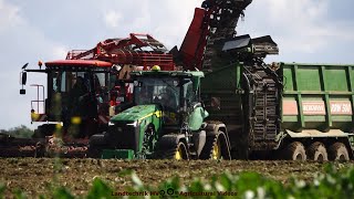 Holmer  John Deere  Bergmann  Rübenernte  Harvesting Beets [upl. by Linn]