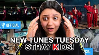 DISCOVERING Stray Kids  Gods Menu Thunderous MANIAC Easy MVs  REACTION [upl. by Hartzel356]