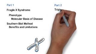Repeat Expansion Diagnostic Techniques Part 1 Southern Blot [upl. by Rosie545]