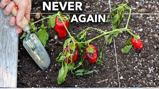 Here’s Why You Should NEVER Plant Peppers in Your Garden [upl. by Aihsenat739]