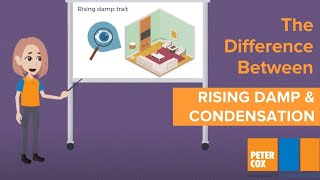 Damp on walls  Whats the Difference Between Rising Damp and Condensation [upl. by Terrej]