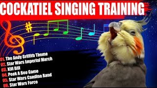 Cockatiel Singing TrainingCockatiel Sounds Parrot Training [upl. by Aivatahs]