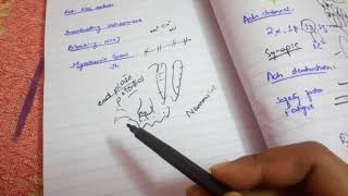 NEUROMUSCULAR JUNCTion and excitation contraction coupling ch 7 guyton fast and easy review part 2 [upl. by Kirby769]