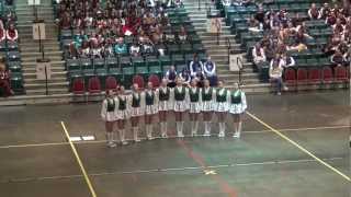 20112  2013 TWHS Highsteppers  Officer Kick Routine 03022013 [upl. by Vernice]