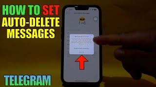 How to Set Auto Delete Messages on Telegram [upl. by Hnim272]