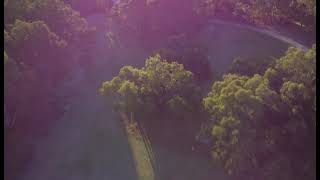 Tree Top view  Braeside Park  Footage  Australia KessaLuvChannel [upl. by Loma364]